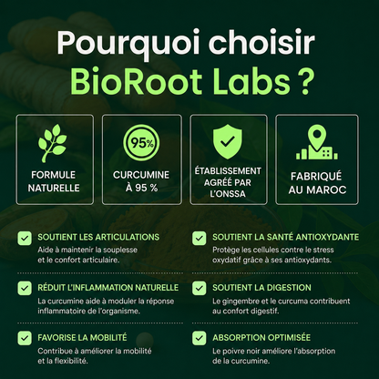 BioRoot Labs Turmeric.